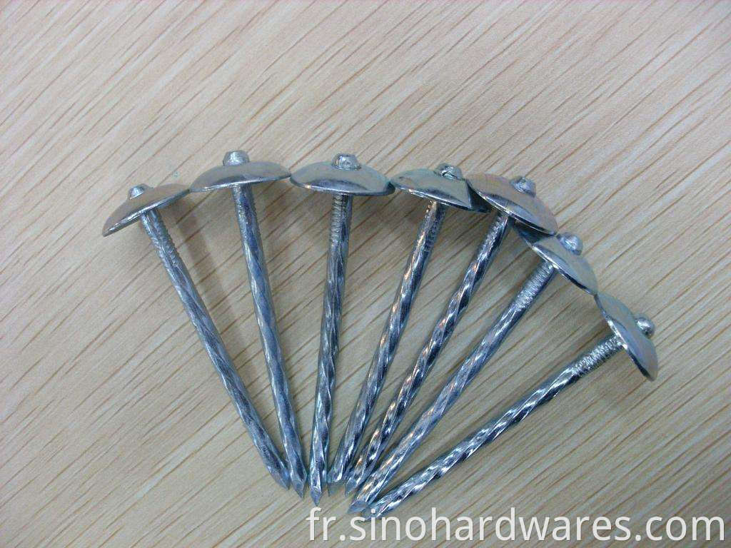 roofing nails